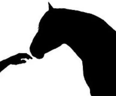 Equine Partners